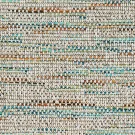 Oyster shell-Grand turk-couristan