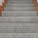 Troyes by Stanton Carpet