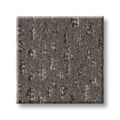 Walnut-Ambitious-anderson