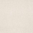 Shaw Floors - MAGIC AT LAST I 12' by Shaw Floors - Parmesan