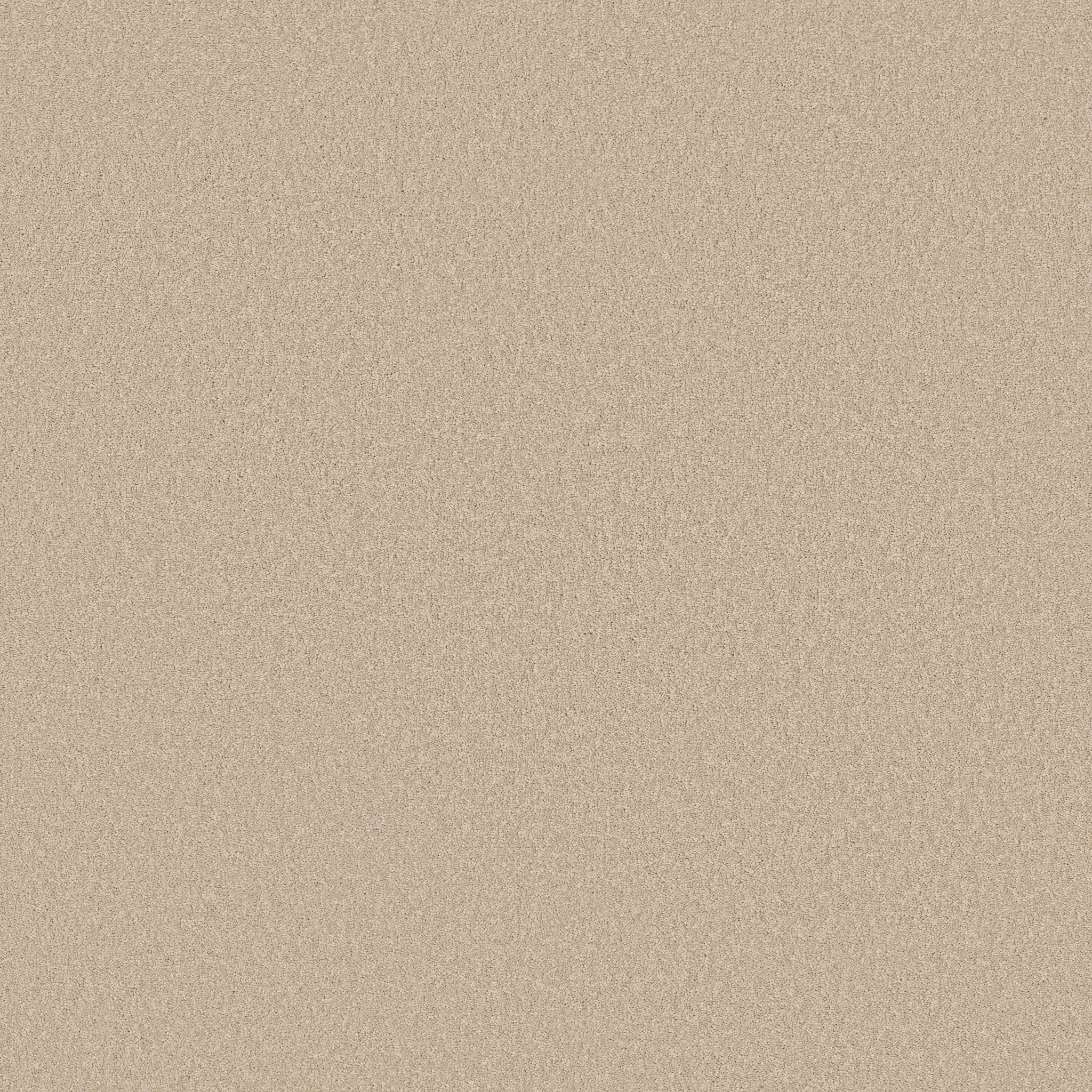 Shaw Floors - MAGIC AT LAST I 12' by Shaw Floors - Sea Salt