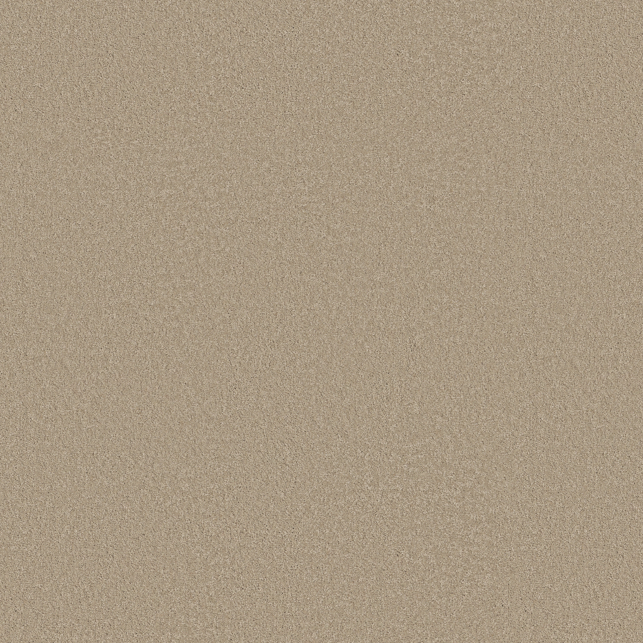 Shaw Floors - MAGIC AT LAST I 12' by Shaw Floors - Quartz