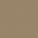 Shaw Floors - MAGIC AT LAST I 12' by Shaw Floors - Shell