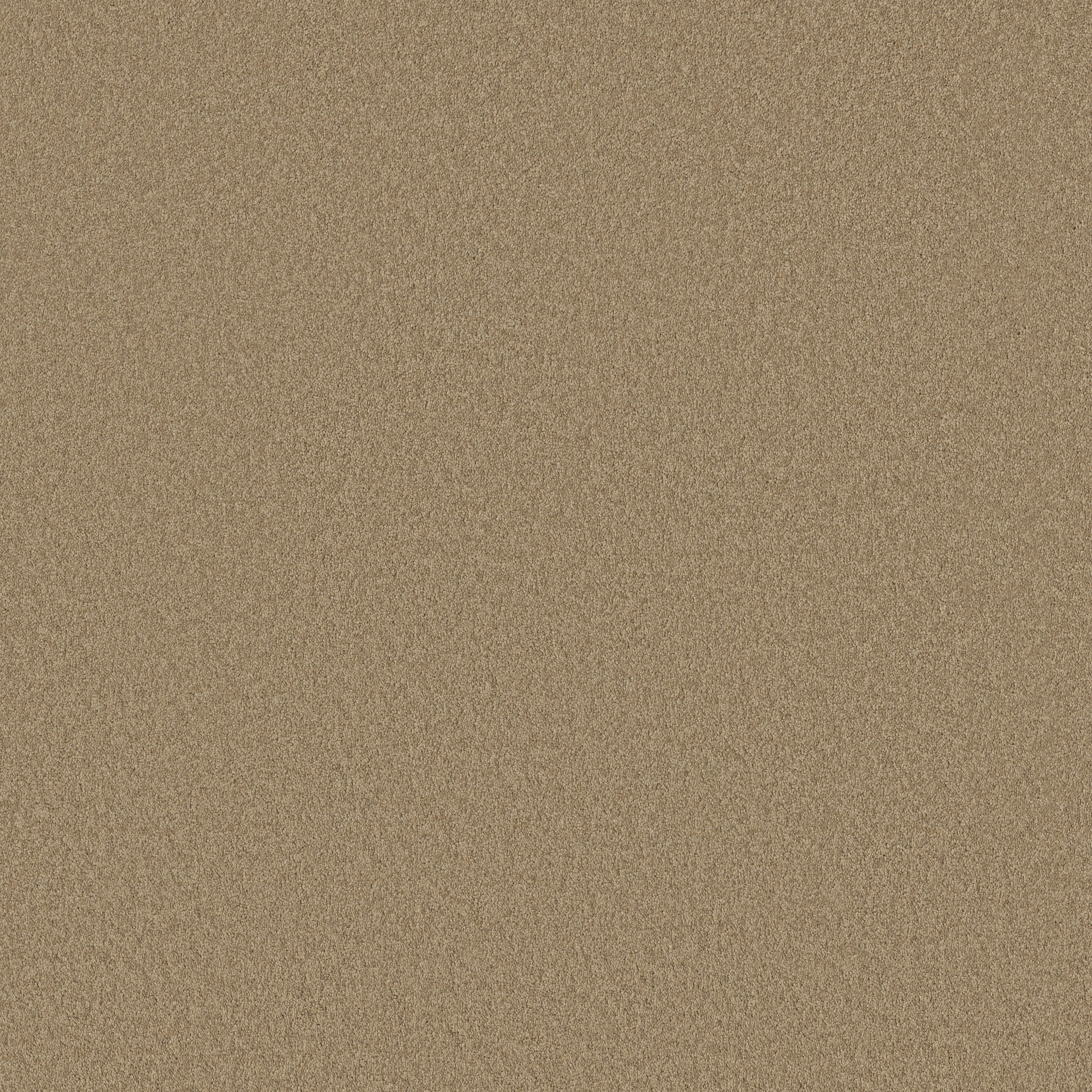 Shaw Floors - MAGIC AT LAST I 12' by Shaw Floors - Shell