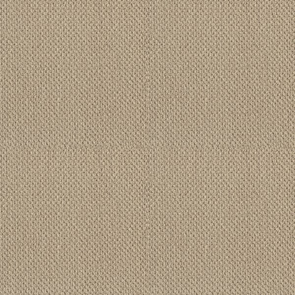 Shaw Floors - TRULY RELAXED LOOP by Shaw Floors - French Linen