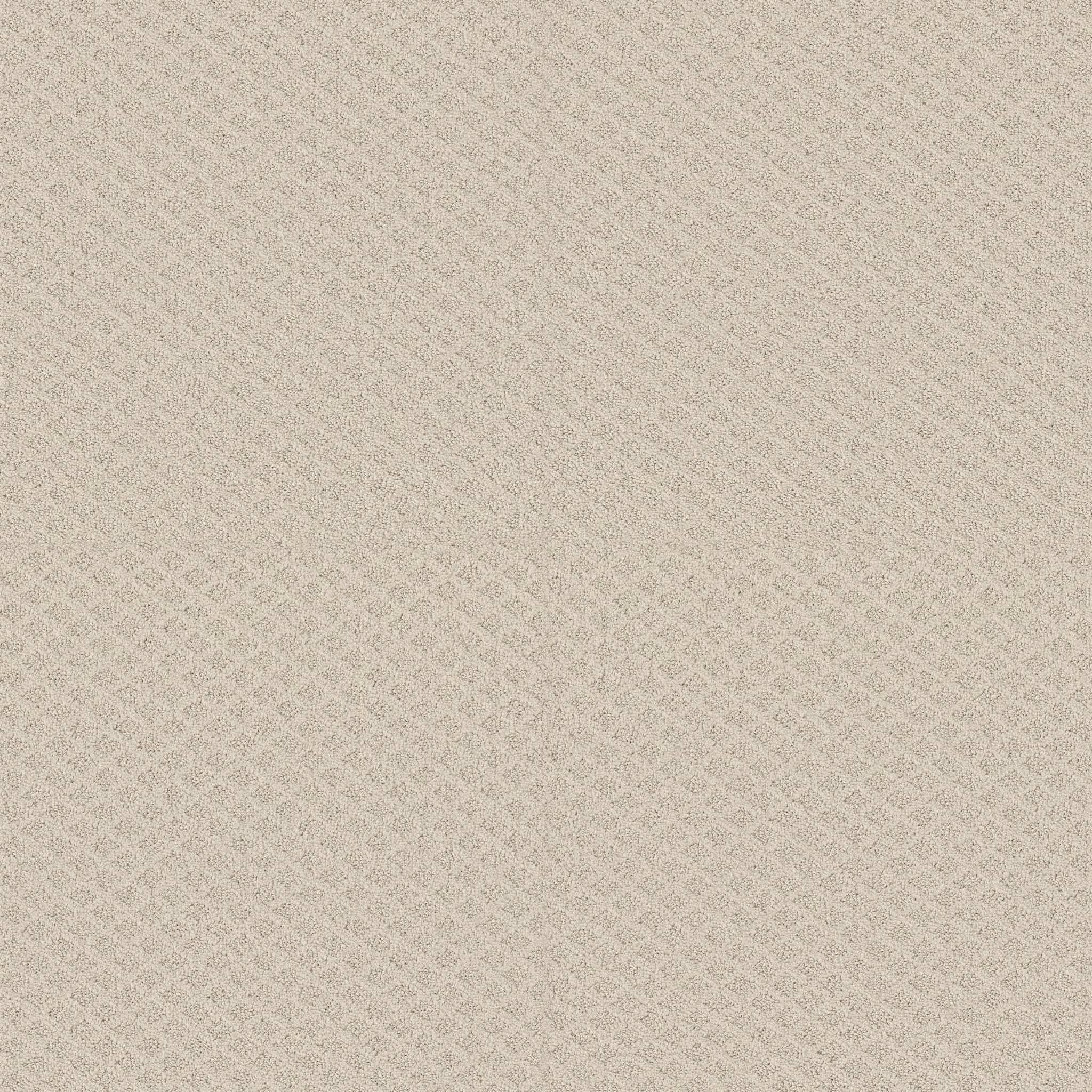 Shaw Floors - MIDLAND CHARM by Shaw Floors - Alabaster