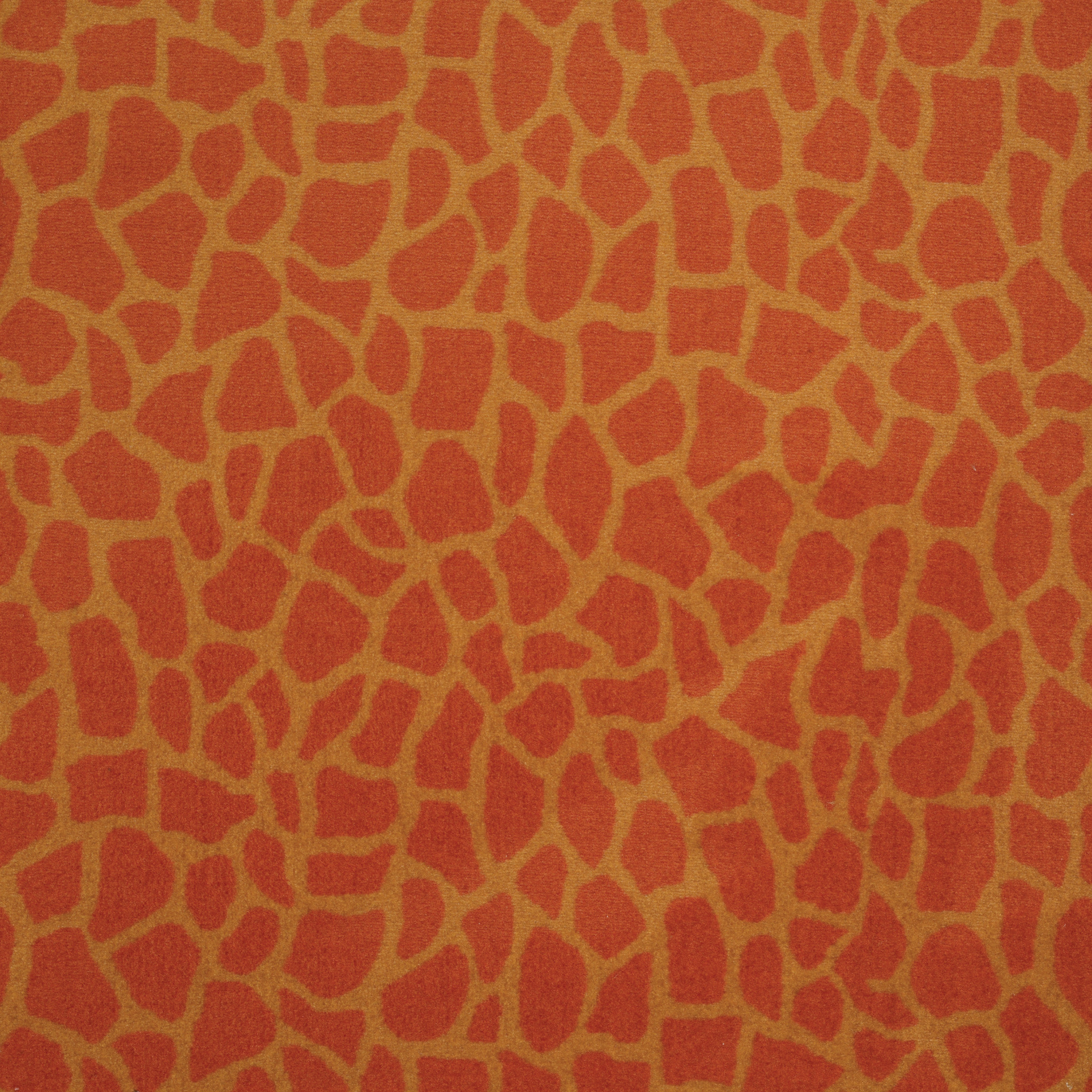 Philadelphia Commercial - GIRAFFE by Philadelphia Commercial - On Stilts