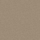 Shaw Floors - ALL STAR WEEKEND I 12' by Shaw Floors - Bare Mineral