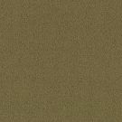 Philadelphia Commercial - COLOR ACCENTS BL by Philadelphia Commercial - Aloe