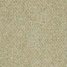 Philadelphia Commercial - NATURAL PATH by Philadelphia Commercial - Seedling