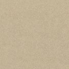 Shaw Floors - ORIGINS by Shaw Floors - Linen