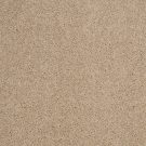 Shaw Floors - ORIGINS by Shaw Floors - Dunes
