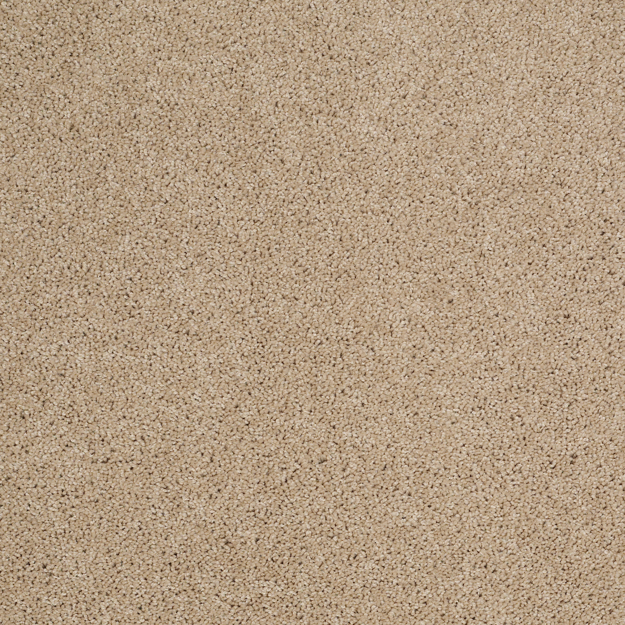 Shaw Floors - ORIGINS by Shaw Floors - Dunes