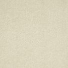 Shaw Floors - WELL PLAYED I 15' by Shaw Floors - Creamy Tint