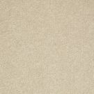 Shaw Floors - WELL PLAYED I 15' by Shaw Floors - Agate