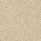 Shaw Floors - COMFORTING II by Shaw Floors - Sesame Seed