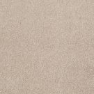 Shaw Floors - THAT'S RIGHT by Shaw Floors - French Canvas