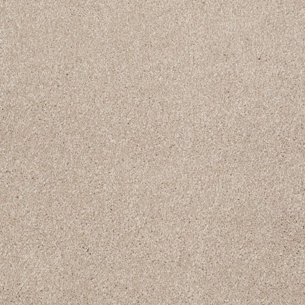 Shaw Floors - THAT'S RIGHT by Shaw Floors - French Canvas