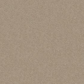 Cork Board