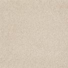 Shaw Floors - WHAT'S UP by Shaw Floors - Sandy Shore