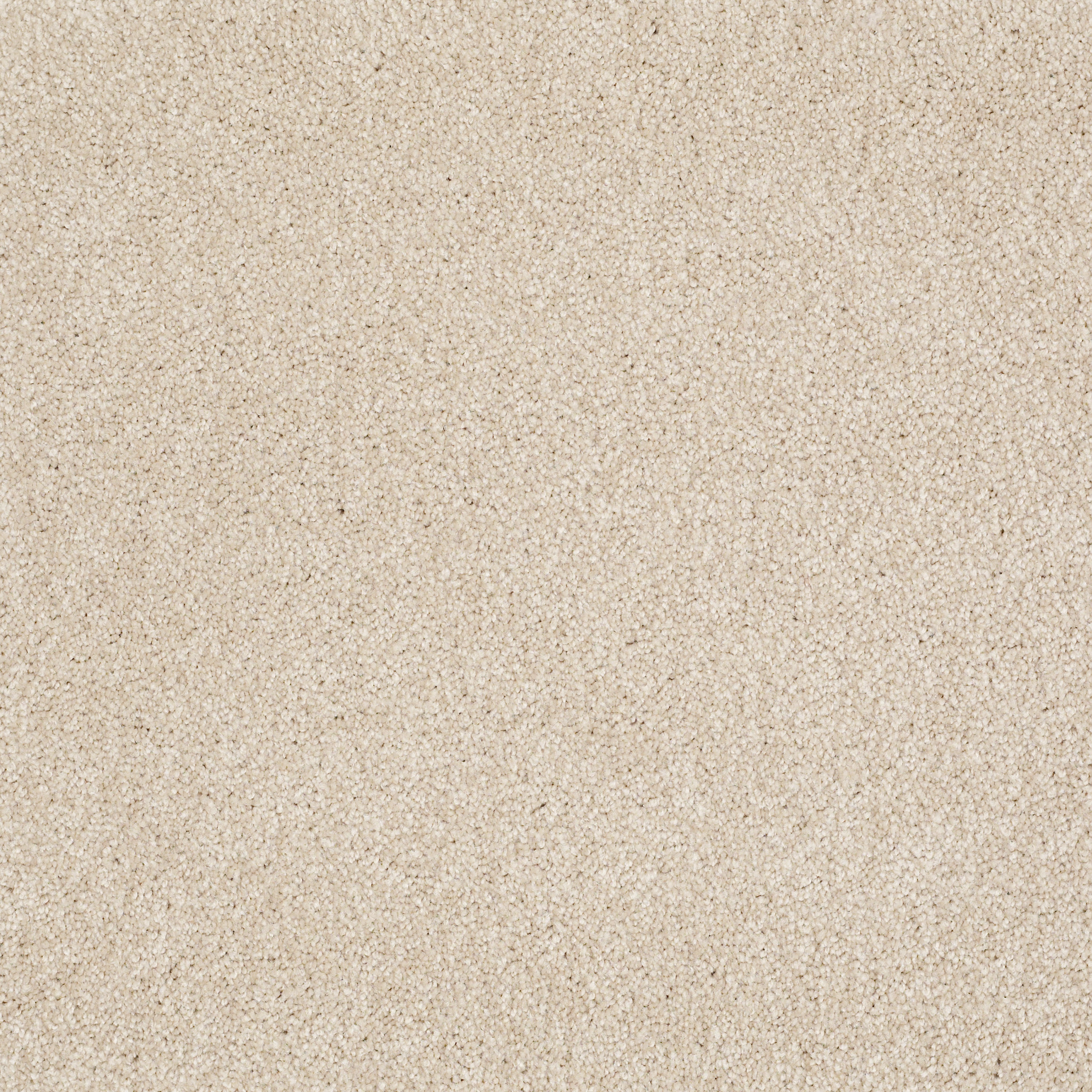 Shaw Floors - WHAT'S UP by Shaw Floors - Sandy Shore