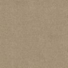 Shaw Floors - WHAT'S UP by Shaw Floors - French Canvas