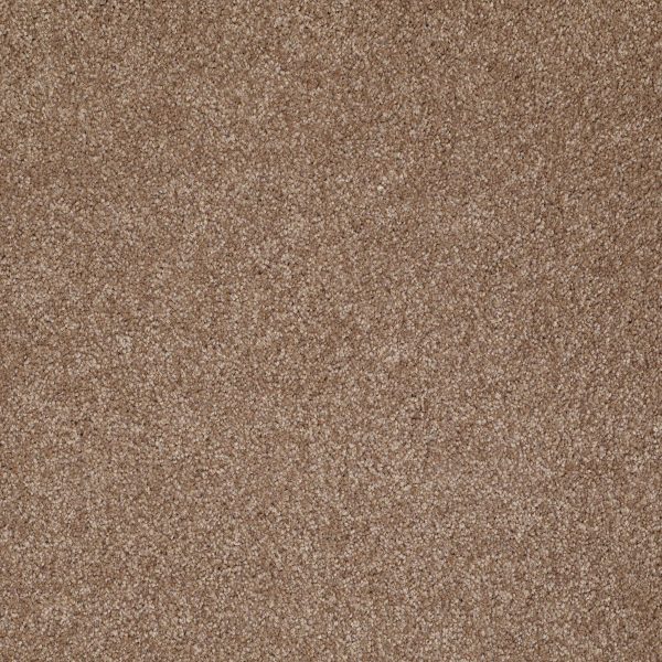Shaw Floors - WHAT'S UP by Shaw Floors - Acorn