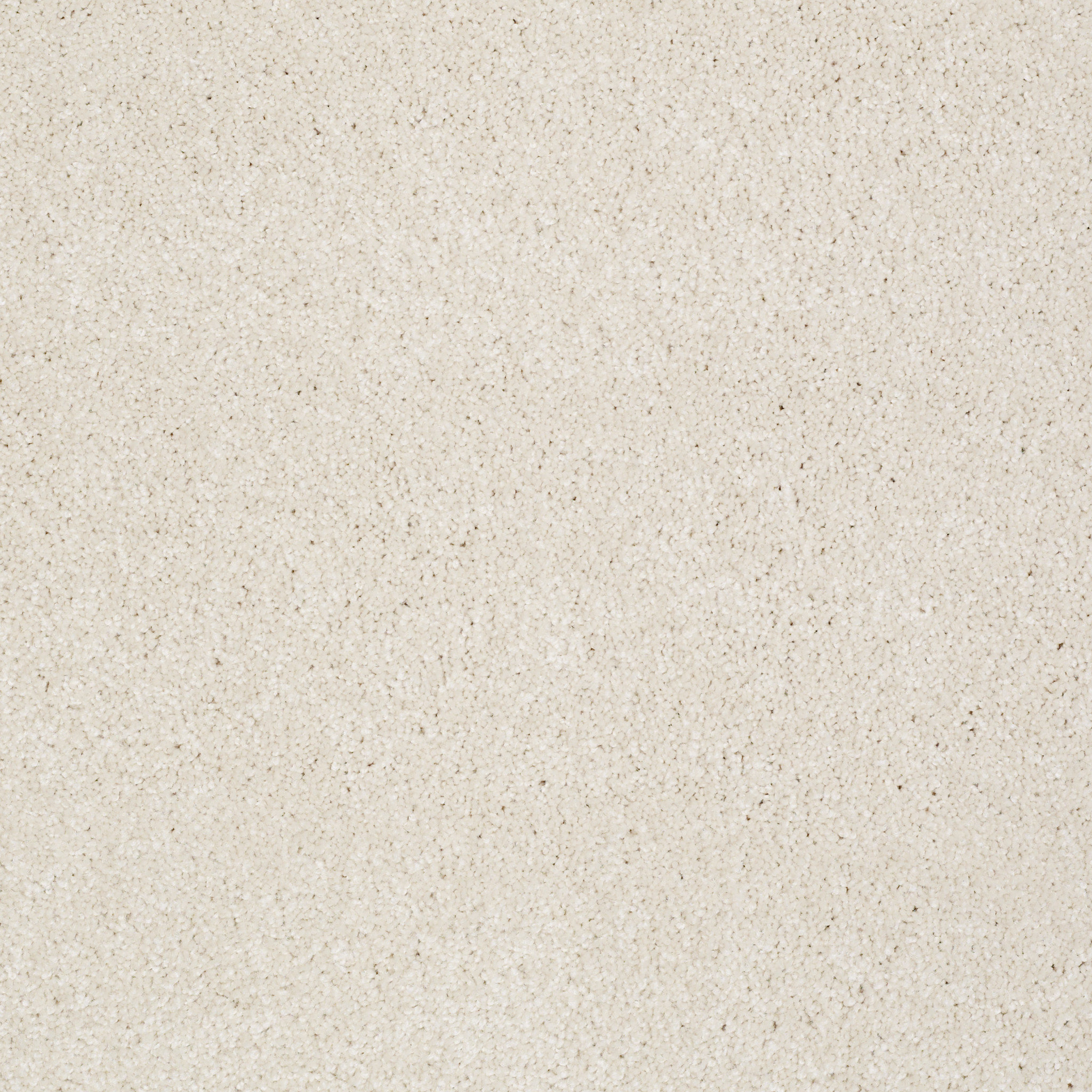 Shaw Floors - YOU KNOW IT by Shaw Floors - Sandy Shore