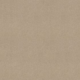 French Canvas