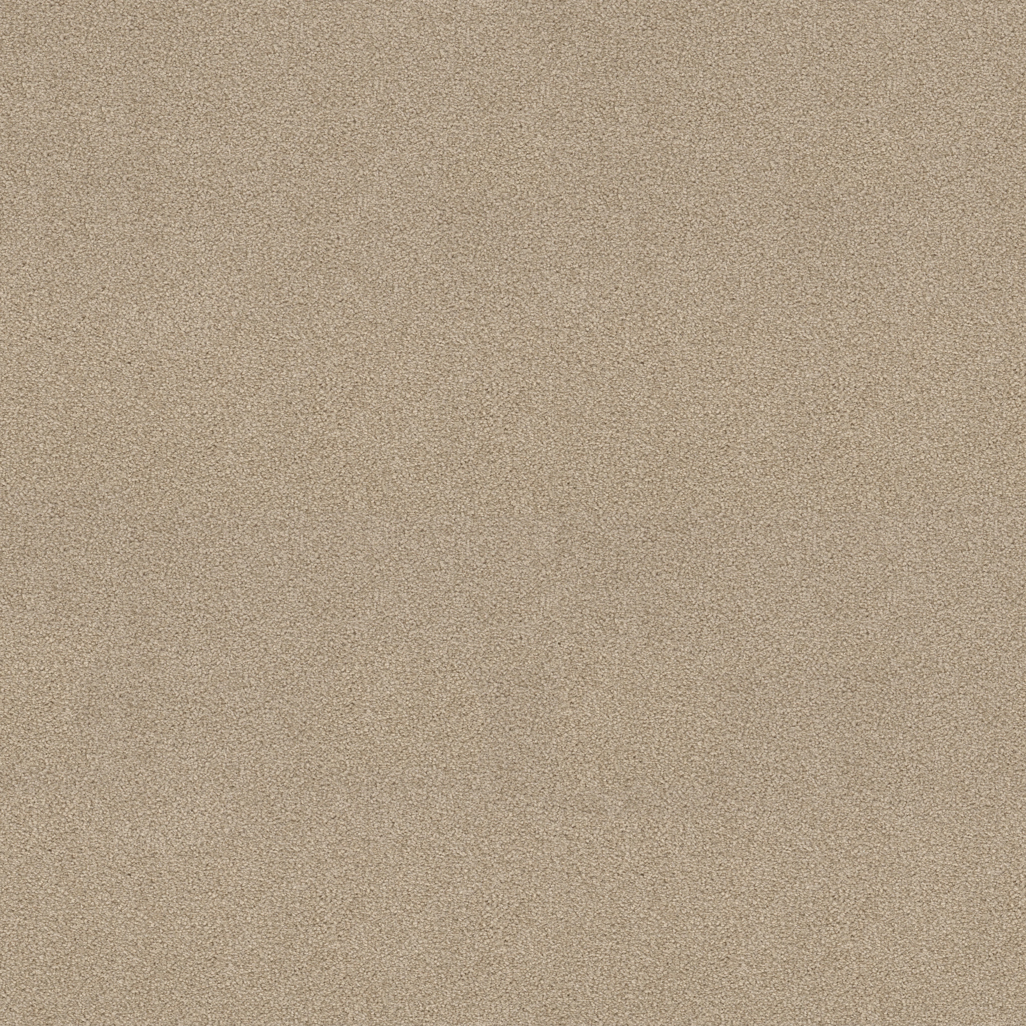 Shaw Floors - YOU KNOW IT by Shaw Floors - French Canvas