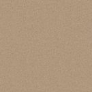 Shaw Floors - NEWBERN CLASSIC 12' by Shaw Floors - Crisp Linen