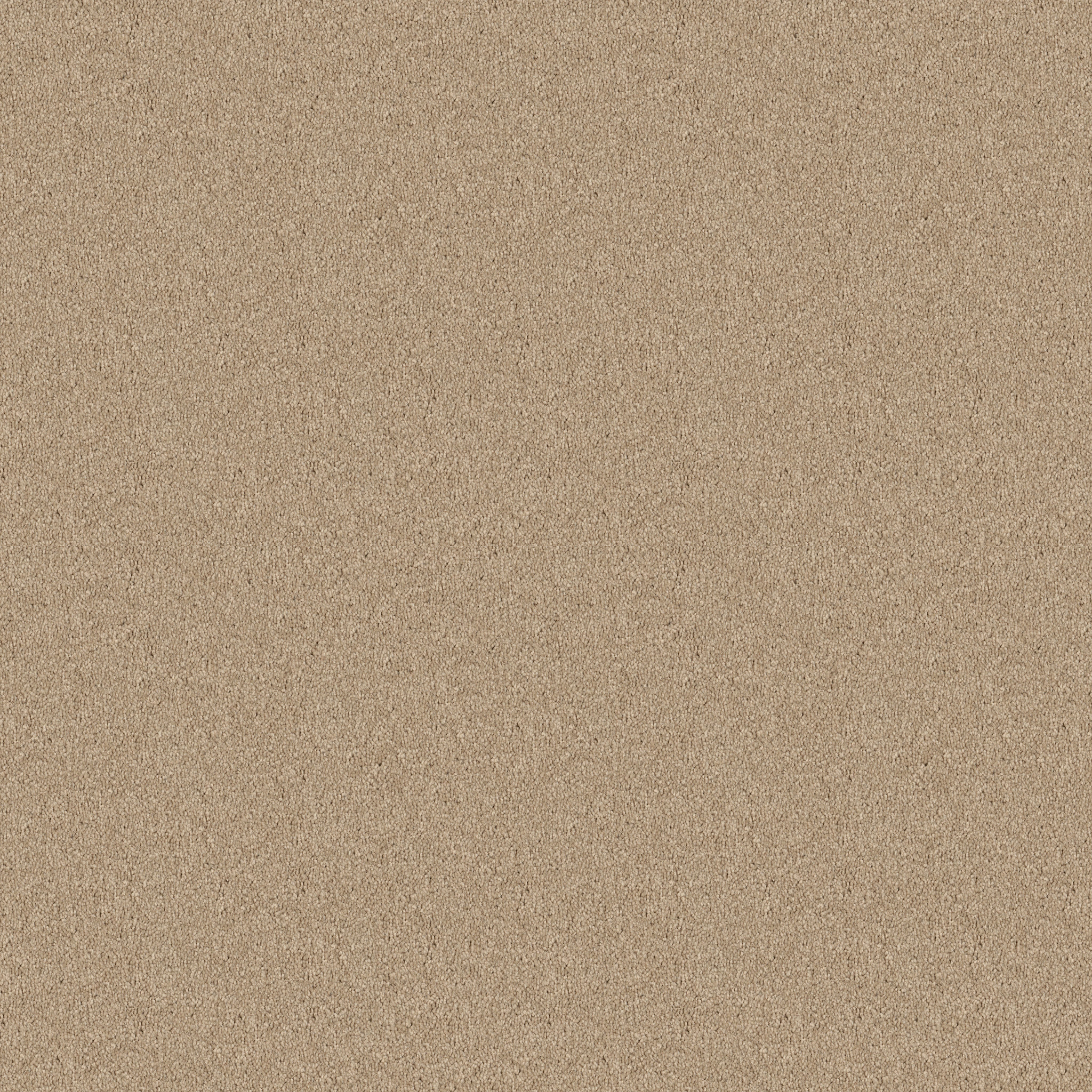 Rug Product Image