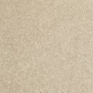 Shaw Floors - NEWBERN CLASSIC 12' by Shaw Floors - Sand Dollar