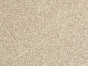 Shaw Floors - NEWBERN CLASSIC 15' by Shaw Floors - Sand Dollar