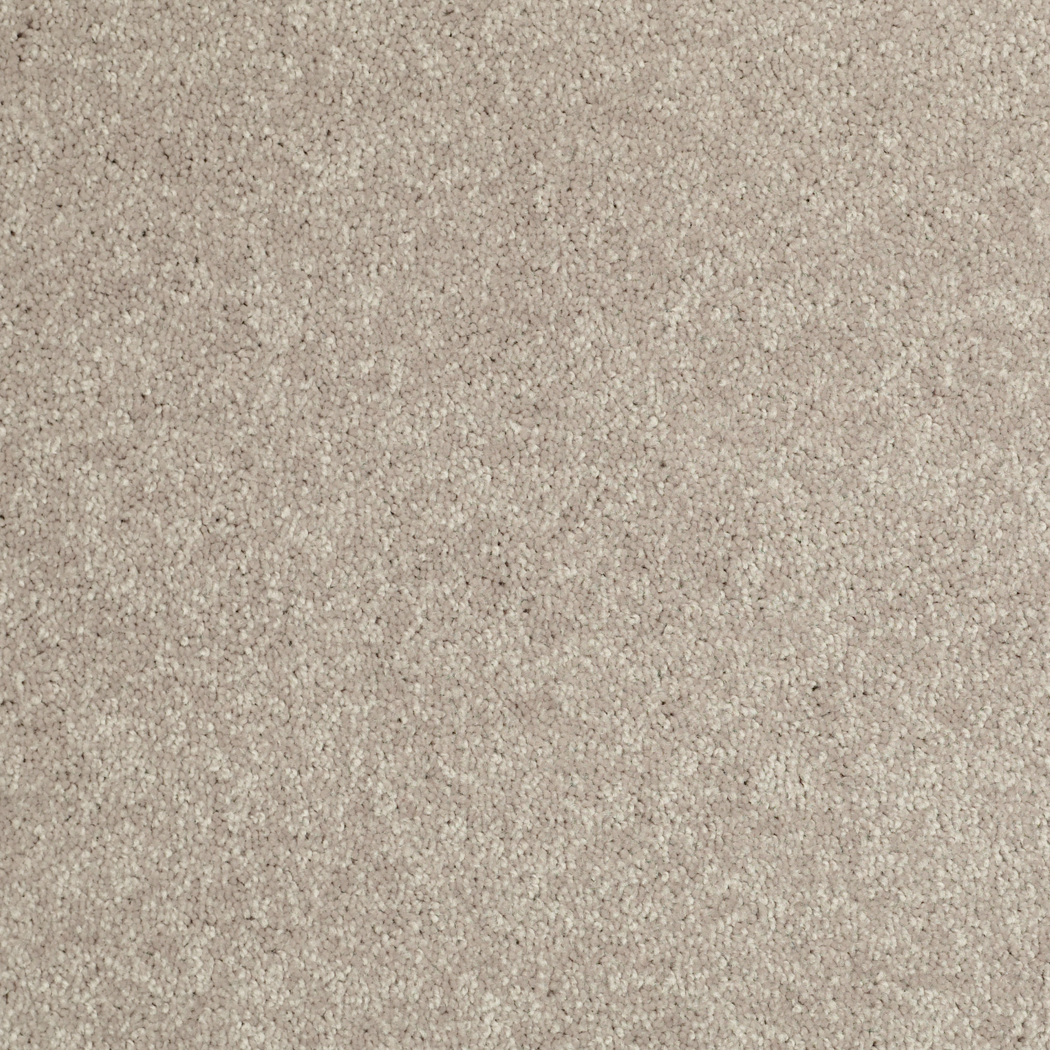 Shaw Floors - NEWBERN CLASSIC 15' by Shaw Floors - Antique Silk