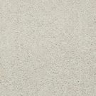 Shaw Floors - DYERSBURG II 15' by Shaw Floors - Alabaster