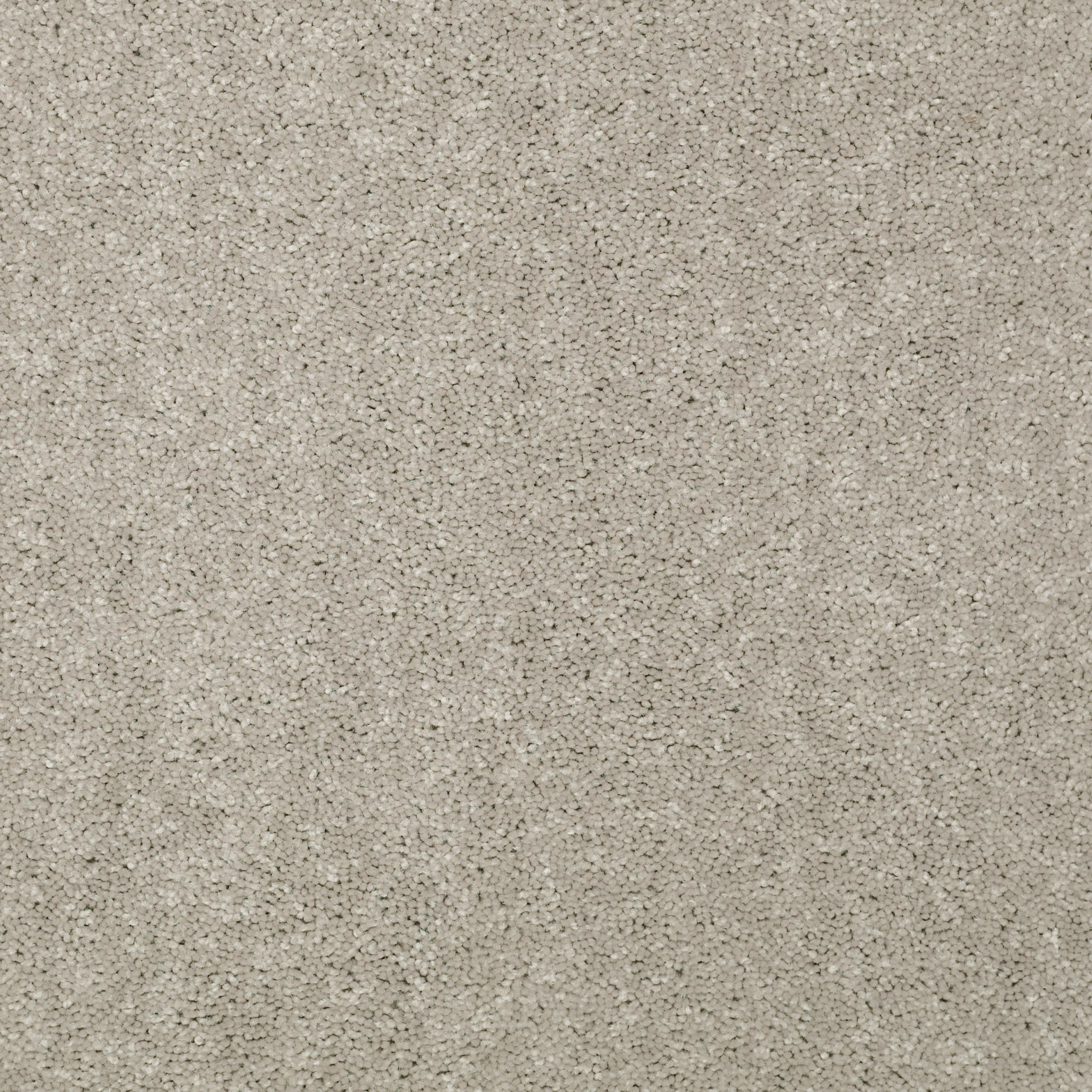Shaw Floors - DYERSBURG CLASSIC 15' by Shaw Floors - Antique Silk