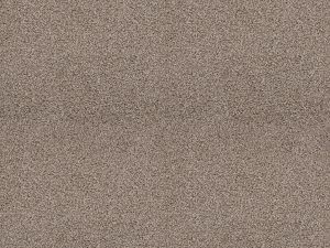 Shaw Floors - SHAKE IT UP (A) by Shaw Floors - Weathered