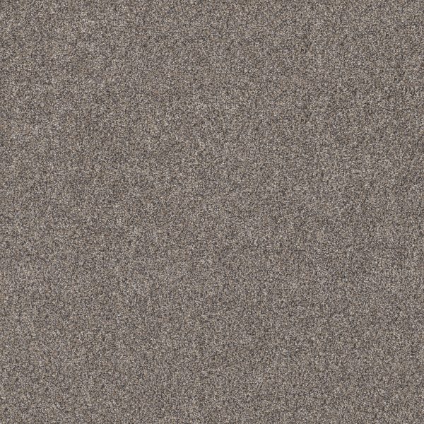 Shaw Floors - SHAKE IT UP (A) by Shaw Floors - Burnt Ash