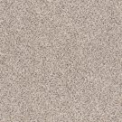 Shaw Floors - TAKE THE FLOOR ACCENT I by Shaw Floors - Riverbed