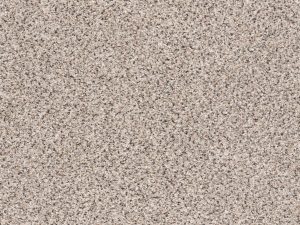 Shaw Floors - TAKE THE FLOOR ACCENT I by Shaw Floors - Riverbed
