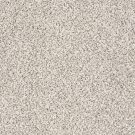 Shaw Floors - TAKE THE FLOOR ACCENT I by Shaw Floors - Avalanche