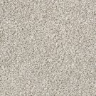 Shaw Floors - MASTERS MARK (F) by Shaw Floors - Quartz