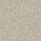 Shaw Floors - MASTERS MARK (F) by Shaw Floors - Goose Feather