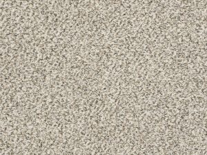 Shaw Floors - MASTERS TOUCH (F) by Shaw Floors - Goose Feather