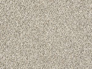 Shaw Floors - MASTERS TOUCH (F) by Shaw Floors - Goose Feather