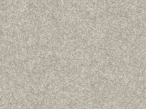 Shaw Floors - MASTERS TOUCH (T) by Shaw Floors - Oatmeal