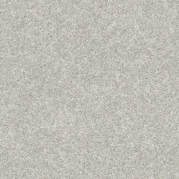 Shaw Floors - MASTERS TOUCH (T) by Shaw Floors - Dove