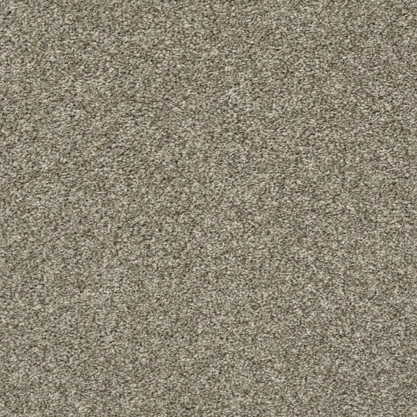 Shaw Floors - MASTERS TOUCH (T) by Shaw Floors - Clay