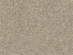 Shaw Floors - MASTERS MARK (T) by Shaw Floors - Raw Wood